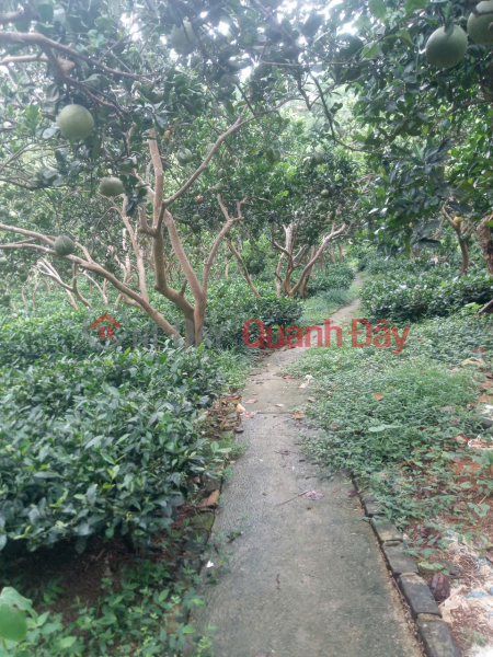  Làm ơn chọn, Nhà ở, Niêm yết bán đ 13 tỷ