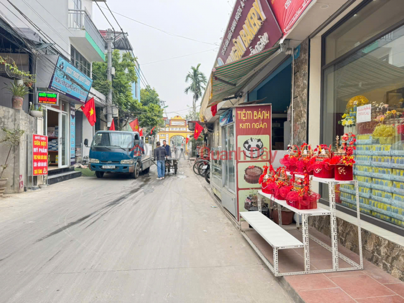 Bán gấp 74m đất thôn Chi Đông 2, xã Quang Minh, TP HN. Cách 500m tiện ích bạt ngàn Việt Nam | Bán, đ 3,5 tỷ