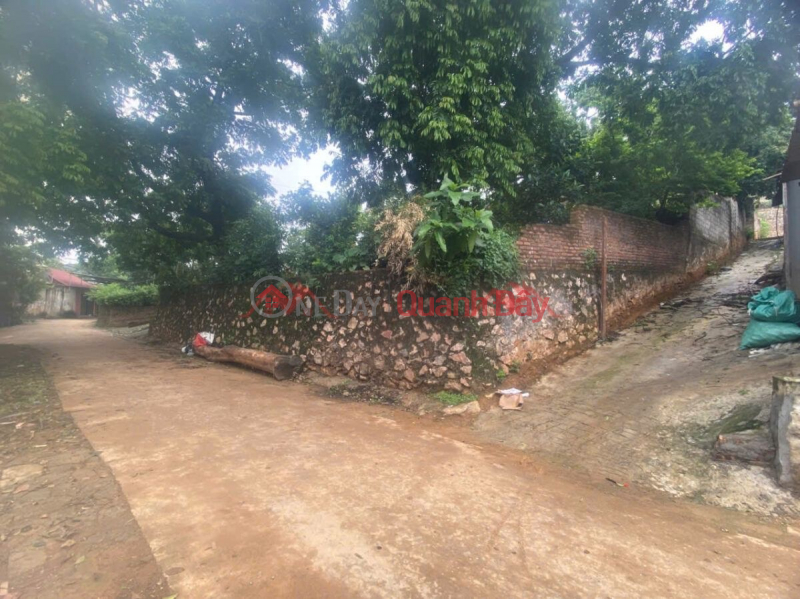 OWNER NEEDS TO SELL 533M2 LAND LOT IN TIEN PHUONG, NEAR CHUC SON TOWN-CHUONG MY-HANOI | Vietnam, Sales, đ 11 Billion