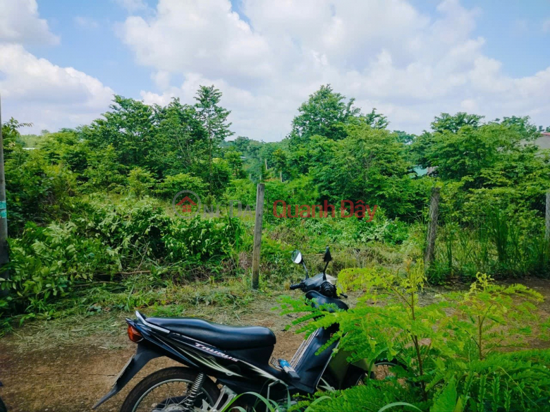 Property Search Vietnam | OneDay | Residential | Sales Listings, OWNER SELLS BEAUTIFUL LAND PLOT right in the commercial center of NGAI GIAO - CHAU DUC - BA RIA VUNG TAU