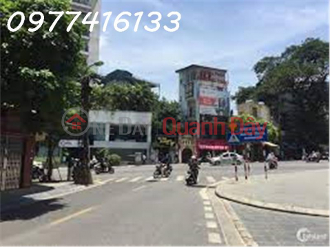 House for sale 5T, Pho Duc Chinh Old Street, area 95m2, corner lot, office business, only 36 billion _0