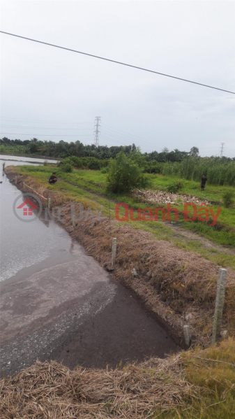 Property Search Vietnam | OneDay | Residential | Sales Listings, BEAUTIFUL LAND - GOOD PRICE - FOR SALE Land Plot In Binh Minh Town, Vinh Long - Cheap Price
