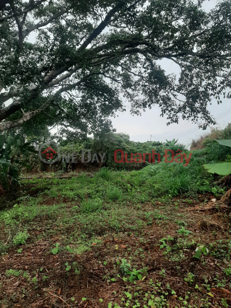 LAND FOR SALE IN BAO LOC - LOC THANH - LAM DONG - 0984967076 Sales Listings