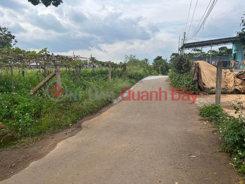 Beautiful Land - Good Price - Owner Needs to Sell Land Lot in Beautiful Location in Loc Ngai Commune - Bao Lam _0