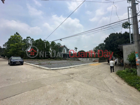 Investment Land - Full Residential Land - 8M Road - Cars Swinging On The Road _0