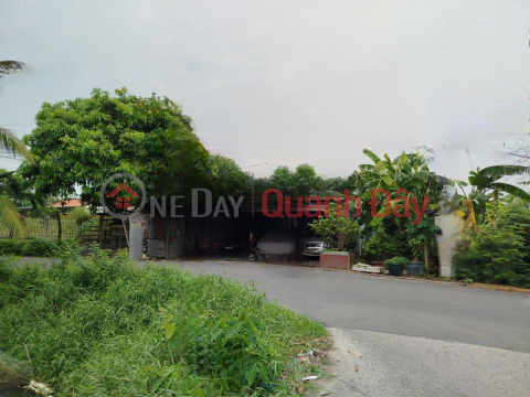 Land for sale, 2 frontages, 1000m2, Dinh Van Uoc, Hung Long, Binh Chanh, 7.5 billion _0