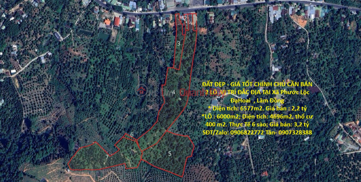 PRIME LAND FOR SALE - OWNER NEEDS TO SELL 2 PLOTS IN A STRATEGIC LOCATION IN PHUOC LOC COMMUNE, DA HOAI DISTRICT, LAM DONG PROVINCE Sales Listings
