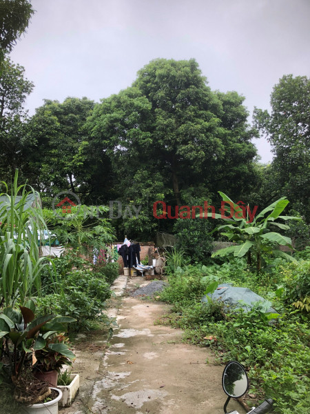 8xx million - 41.5m Phuong Dong land - Phuong Chau - Chuong My . 1 lot is only fast and very reasonable for you Vietnam Sales | ₫ 870 Million