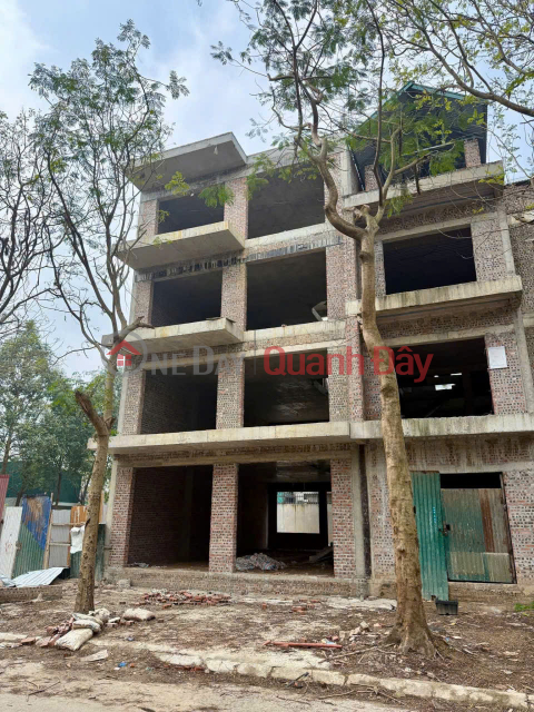 Semi-detached villas for sale in Ha Phong Urban Area, Tien Phong, Me Linh, under 12.4 billion VND. 240m2 _0