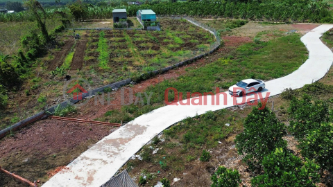 Liquidation Sale: 2 adjacent plots in Da Bac with residential land title, priced at 260 million and 280 million VND respectively. _0