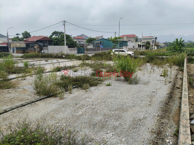 Property Search Vietnam | OneDay | Residential, Sales Listings | Land for sale in Dong Du Thuong Lam, area 146.5m2, suitable for business with car access, 4.18 billion VND, My Duc.