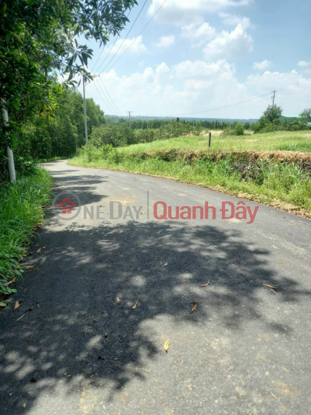 đ 12.5 Billion, Owner Needs To Sell Land Plot In Suoi Rao Commune, Chau Duc District, Ba Ria Vung Tau Province,