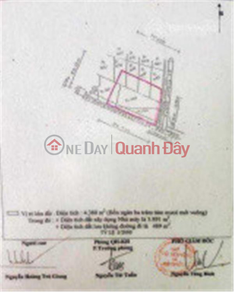 OWNER FOR RENT Land Lot 4000m2 (frontage more than 80m),Nghia Dong Commune, Quang Ngai City, Quang Ngai Rental Listings