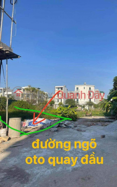 Property Search Vietnam | OneDay | Nhà ở Niêm yết bán Đất Đẹp - Giá Tốt - Chính Chủ Cần Bán Lô Đất Vị Trí Đẹp Tại Đỗ Xá, phường Tứ Minh, TP Hải Dương, Hải Dương