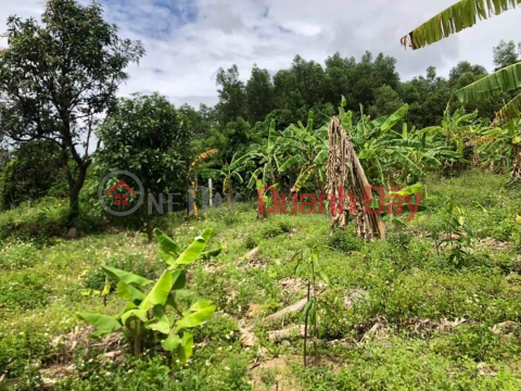 Own Right Now Beautiful Land Lot Great Location In Dien Dien Commune, Dien Khanh District, Khanh Hoa _0