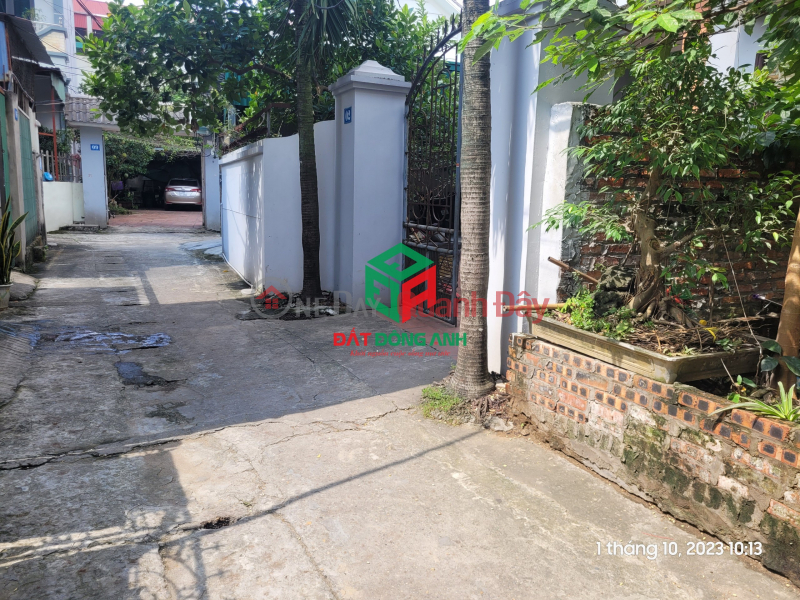 Land for sale in Le Phap, Tien Duong, Dong Anh - 62m - Car access to land - Close to main axis Sales Listings