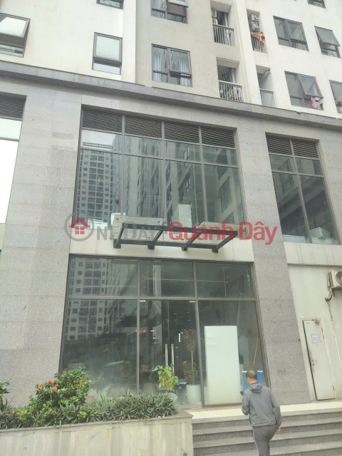 Bán 42.3m2 đất Tư Đình - ngõ ô tô vào đất, thông, cách đường lớn 10m - giá hấp dẫn _0