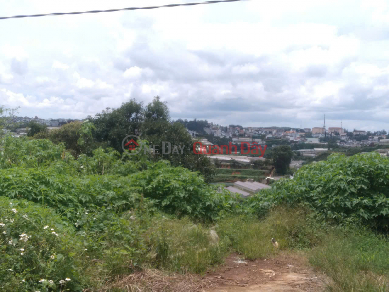  Làm ơn chọn | Nhà ở | Niêm yết bán | đ 630 triệu