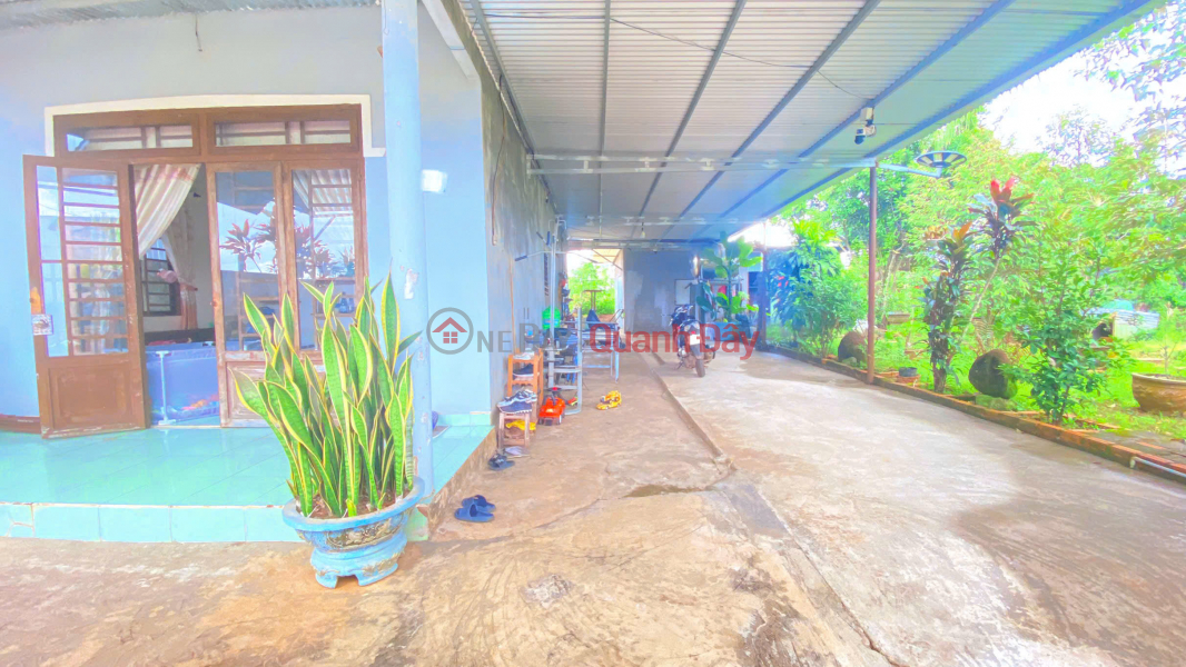 Nhà thuộc phú hội cũ - đức trọng / lâm đồng – khu dân cư Niêm yết bán