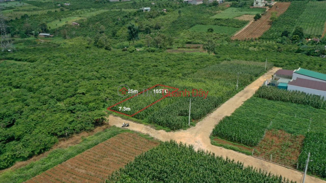 đ 2 Billion, BEAUTIFUL LAND - GOOD PRICE - Land Lot For Sale Prime Location In Di Linh TT, Di Linh District, Lam Dong