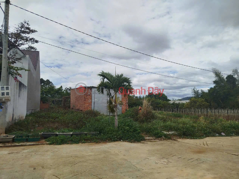 Property Search Vietnam | OneDay | Residential, Sales Listings, SELLING 115.7m2 Land - HIEP THANH COMMUNE - DUC TRONG - LAM DONG