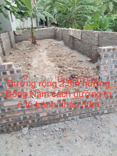 Property Search Vietnam | OneDay | Residential Sales Listings | Owner selling a prime 43.5 m2 plot of land in Trung Thon, Dong Hoi, Dong Anh, located between Vinhome Co Loa.