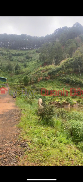 BEAUTIFUL LAND - GOOD PRICE - OWNER NEEDS TO SELL QUICKLY 1.4Ha LAND Ta Nung, Da Lat, Lam Dong | Vietnam, Sales | đ 18.2 Billion