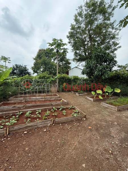 GREENERY HOUSE BÀ RỊA – CƠ HỘI SỞ HỮU NHÀ VƯỜN NGHỈ DƯỠNG CHỈ TỪ 3 TỶ ĐỒNG/LÔ Niêm yết bán