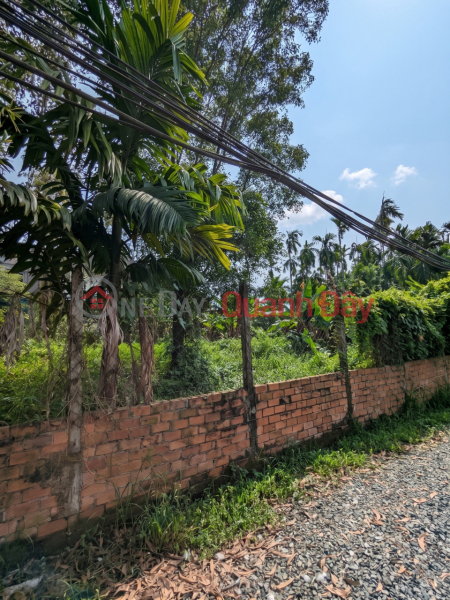 Property Search Vietnam | OneDay | Nhà ở | Niêm yết bán [D2284] ĐẤT SỔ HỒNG RIÊNG VƯỜN CAU ĐỎ - NỞ HẬU ĐẮC LỘC GIÁ LỘC PHÁT 9.X TỶ!