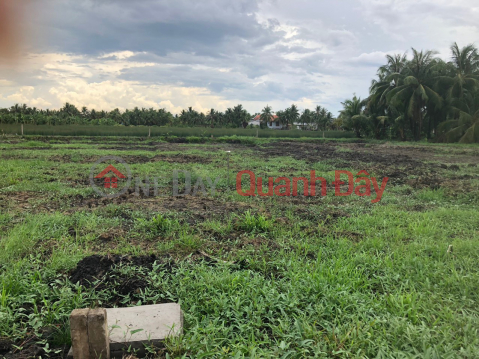 GARDEN LAND FOR SALE BY OWNER At Road DT878, Tan Hoa Thanh Commune, Tan Phuoc District, Tien Giang _0