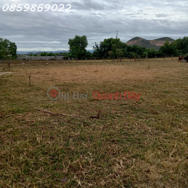Property Search Vietnam | OneDay | Residential | Sales Listings OWNER NEEDS TO QUICKLY SELL A LOT OF LAND WITH A GOOD LOCATION IN HONG LIEM