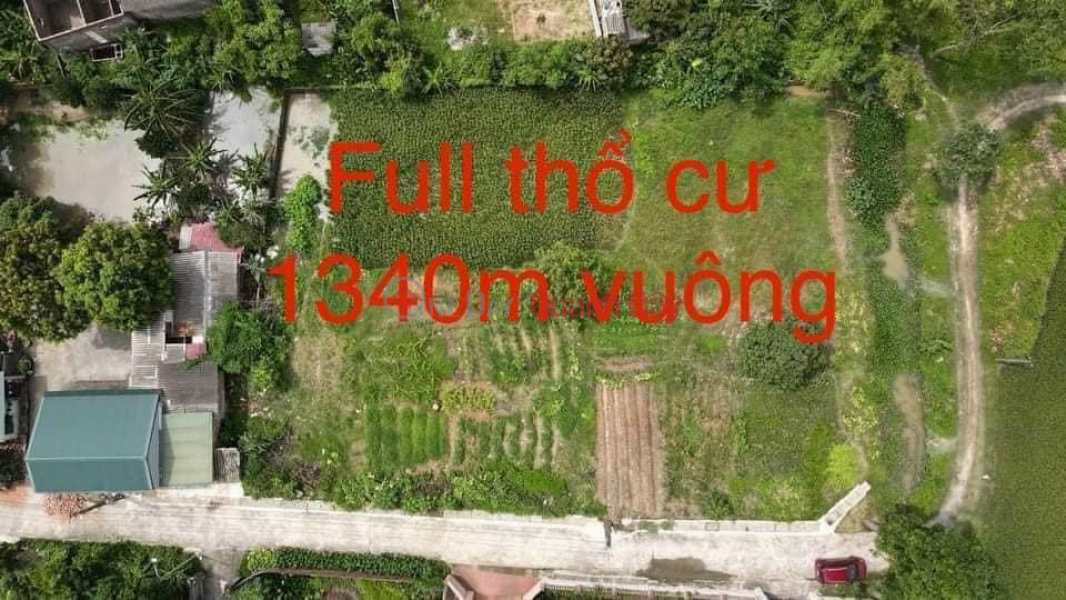 Bán lô đất giá rẻ cho nhà đầu tư tại Lê Xá Dương Quang, Mỹ hào diện tích hơn 1340m2 full thổ cư Việt Nam | Bán đ 5,5 tỷ