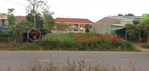 Beautiful Land - Good Price - Owner Needs to Sell Land Lot in Nice Location at Provincial Road 725, Tan Thanh, Lam Ha, Lam Dong _0