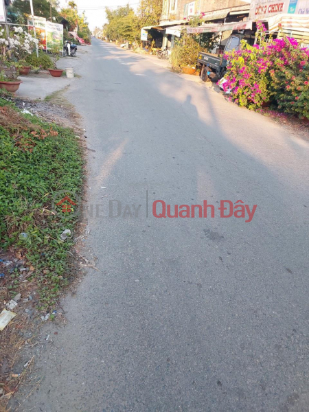 BEAUTIFUL LAND - GOOD PRICE - Owner Needs to Sell Land Plot Quickly in My Quoi - Cay Duong - Phung Hiep - Hau Giang Sales Listings