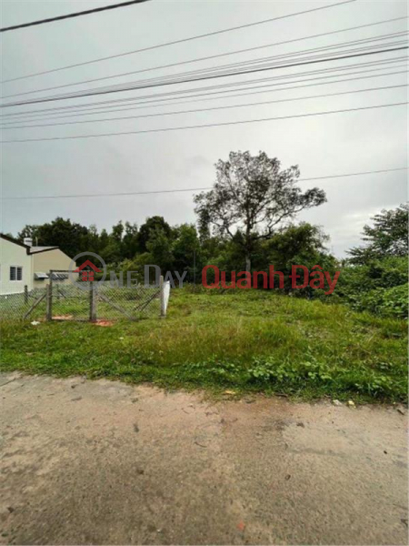 OWNERS QUICK SALE OF LAND LOT, Nice Location, Investment Price At CU DUONG - PHU QUOC - KIEN GIANG Sales Listings