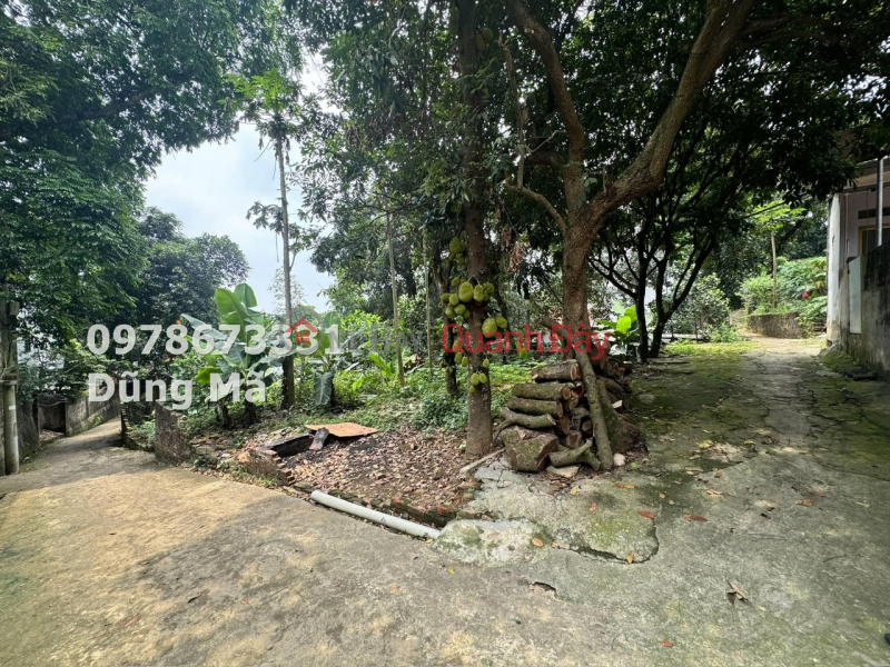 Property Search Vietnam | OneDay | Nhà ở | Niêm yết bán, CHÍNH CHỦ BÁN LÔ ĐẤT GIÁP TT CHÚC SƠN GIÁ CHỈ 900 TRIỆU