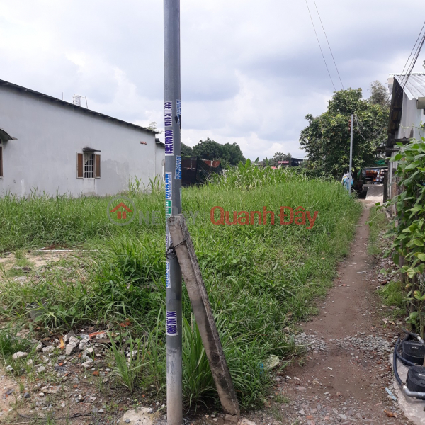 Beautiful Land - Good Price - Owner Needs to Sell Beautiful Land Plot Quickly in Thuan An City, Binh Duong Province | Vietnam Sales | ₫ 5.8 Billion
