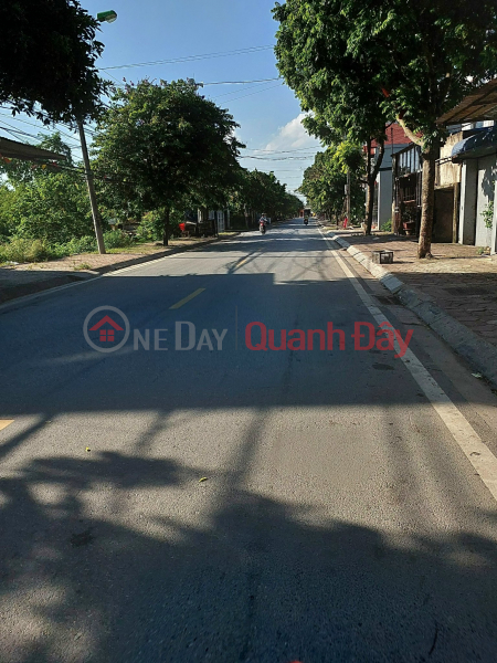 Property Search Vietnam | OneDay | Nhà ở Niêm yết bán, MẶT ĐƯỜNG ĐÊ ĐÁY - KINH DOANH THỊ TRẤN CHÚC SƠN - ĐỈNH CỦA ĐỈNH
- diện tích 50m sổ đỏ sẵn