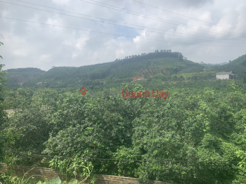 Property Search Vietnam | OneDay | Residential Sales Listings The owner needs to sell quickly the land lot Belonging to Area 5 Cau Mo - Dai Minh Commune - Yen Binh District - Yen Bai City.