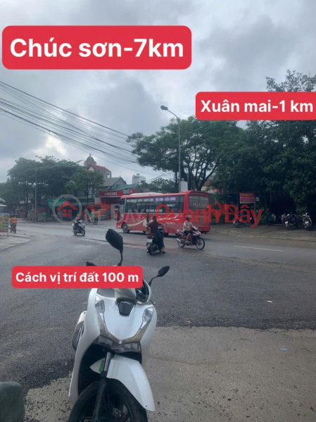 Property Search Vietnam | OneDay | Nhà ở, Niêm yết bán | CHÍNH CHỦ CẦN BÁN LÔ ĐẤT MẶT TRỤC KINH DOANH 116,5M TẠI ĐÔNG SƠN-CHƯƠNG MỸ-HÀ NỘI