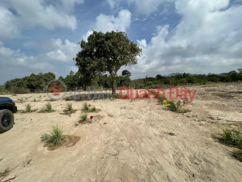 PRIME LAND - GOOD PRICE - 2 Lots For Urgent Sale In Long Hai Town, Long Dien, Ba Ria Vung Tau _0