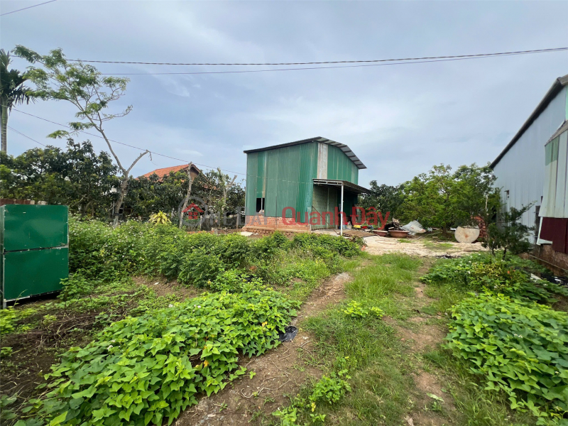 đ 4.8 Billion OWNER'S LAND - NEED TO SELL LOT OF LAND BEHIND Hoa Ninh Market, Di Linh, Lam Dong - SUPER PREFERENTIAL PRICE