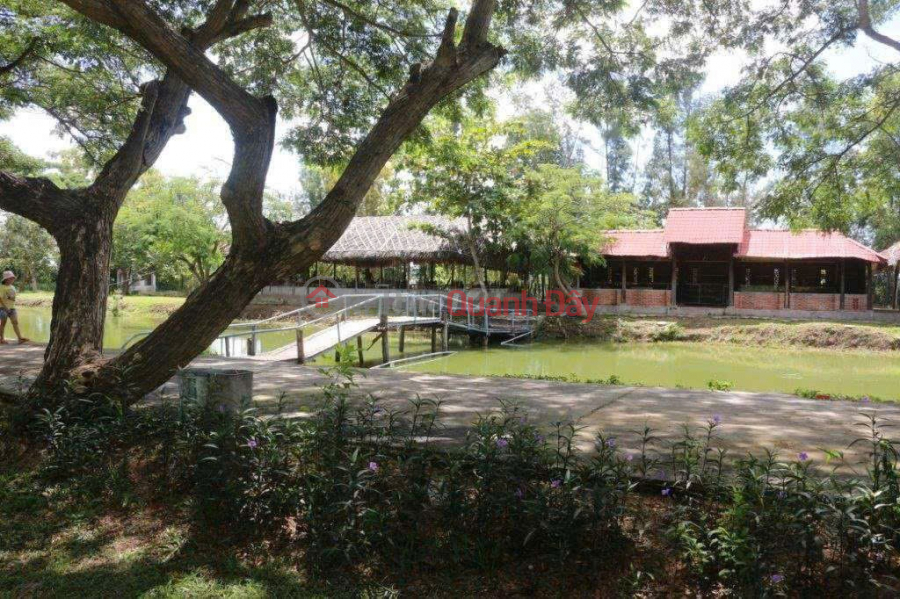 PRIME LAND – GOOD PRICE – OWNER SELLING ECO-TOURISM AREA in Ham Liem commune, Ham Thuan Bac district, Binh Thuan province Vietnam | Sales | đ 55 Billion