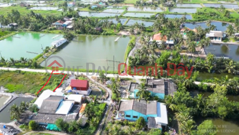 OWNER Urgently Needs to Sell Land in Thuan My Commune, Chau Thanh District, Long An Province _0