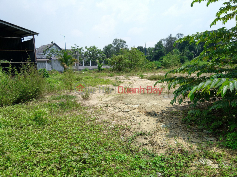 Property Search Vietnam | OneDay | Residential | Sales Listings | BEAUTIFUL LAND - GOOD PRICE - OWNER Urgent Sale Beautiful Land Lot Location In Hoc Mon District