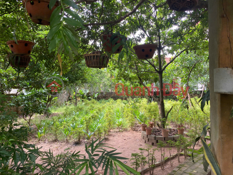 OWNER'S LAND - GOOD PRICE - Lien Tan Village, Phuong Trung Commune, Thanh Oai - Hanoi _0