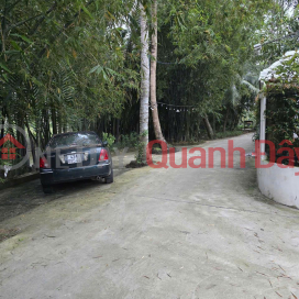 Land for sale on Tran Nhan Tong street, Cam Thanh ward, opposite De Dong restaurant, area 260m2, 25 million VND\/m2. _0