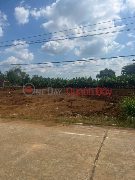 ĐẤT NỀN THỔ CƯ - GIÁ TỐT - tại xã Phú Tân, huyện Định Quán, tỉnh Đồng Nai | Việt Nam, Bán, đ 650 triệu