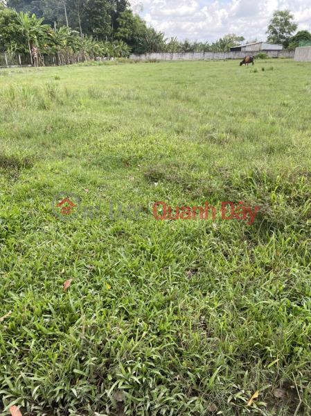 ₫ 350 Million, FAST SALE OF BEAUTIFUL LOT OF LAND - GOOD PRICE Location In Chau Thanh district, Tra Vinh province
