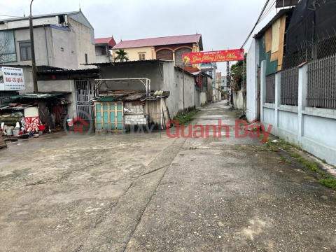 Đất Tiên Hùng - Nguyên Khê - Đông Anh 85m MT 4,8m giá 5,5 tỷ _0
